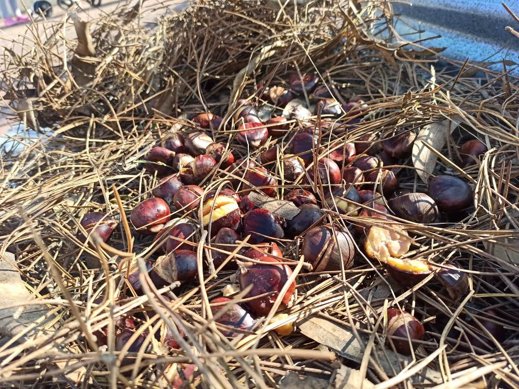 WhatsApp Image 2021-11-30 at 14.56.57