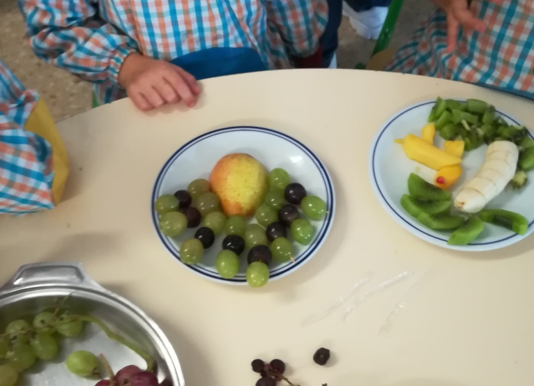 Dia de Alimentação 5