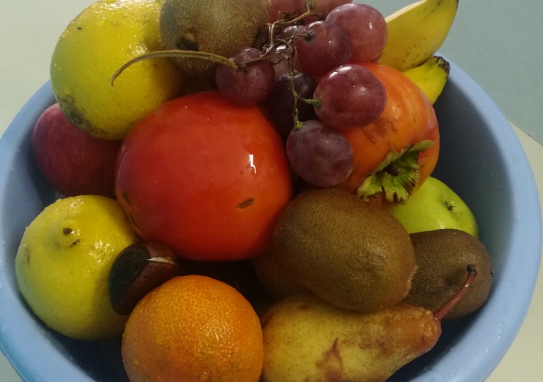 DIA DA ALIMENTAÇÃO