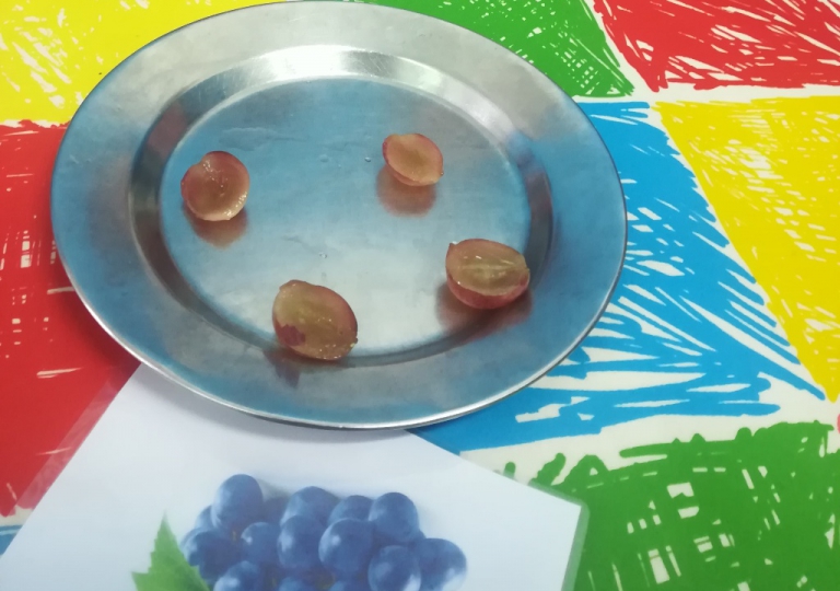 DIA DA ALIMENTAÇÃO