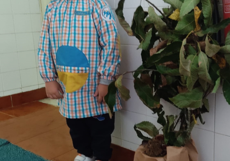 Novembro na Sala de Pré-Escolar