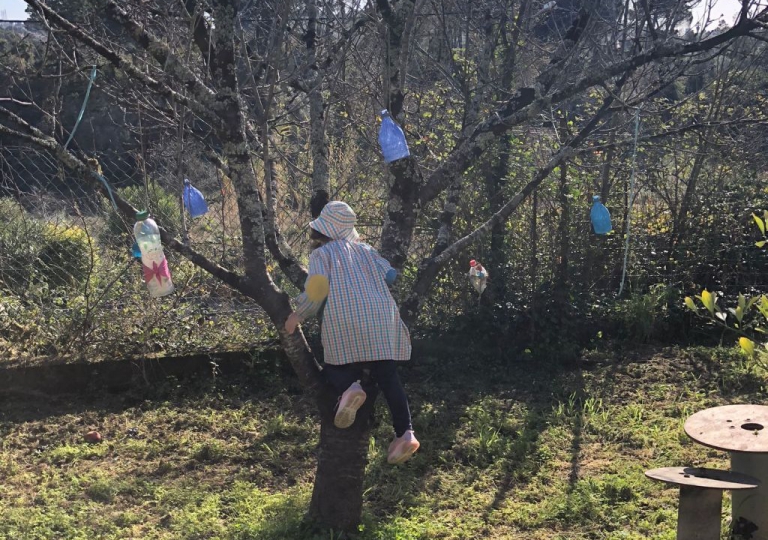 JANEIRO NA SALA FANTASIA